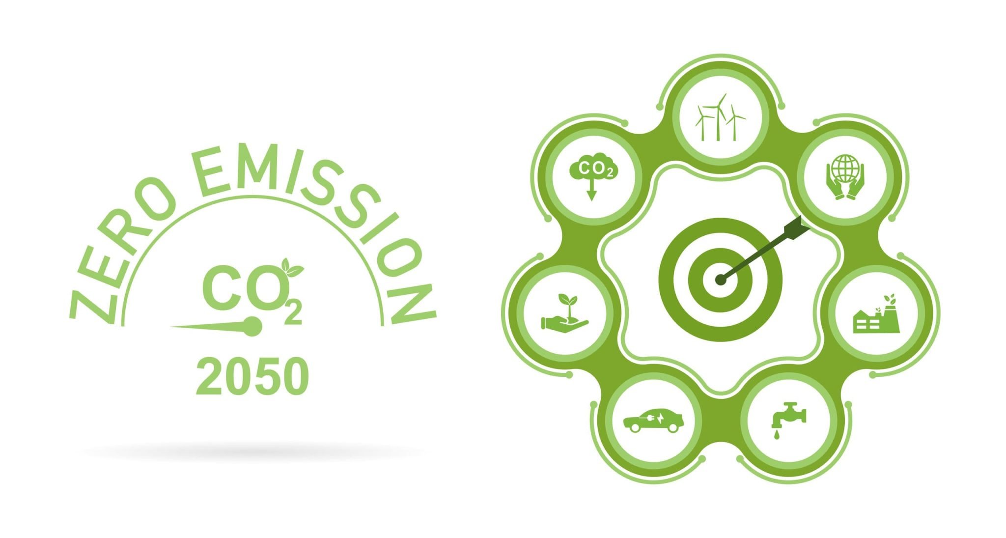 Net Zero Emissions by 2050: Key Strategies for Businesses