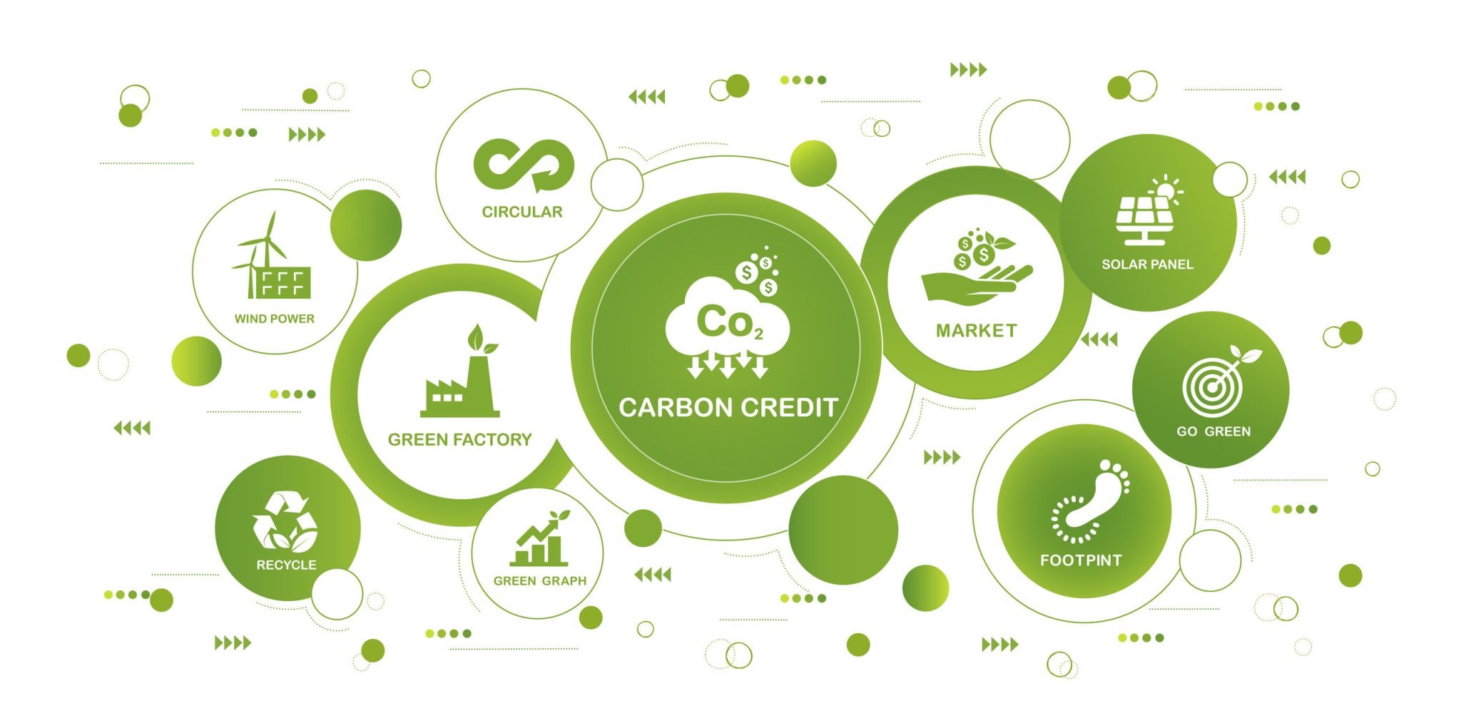 Image showcasing Australian Carbon Credit Units for Businesses